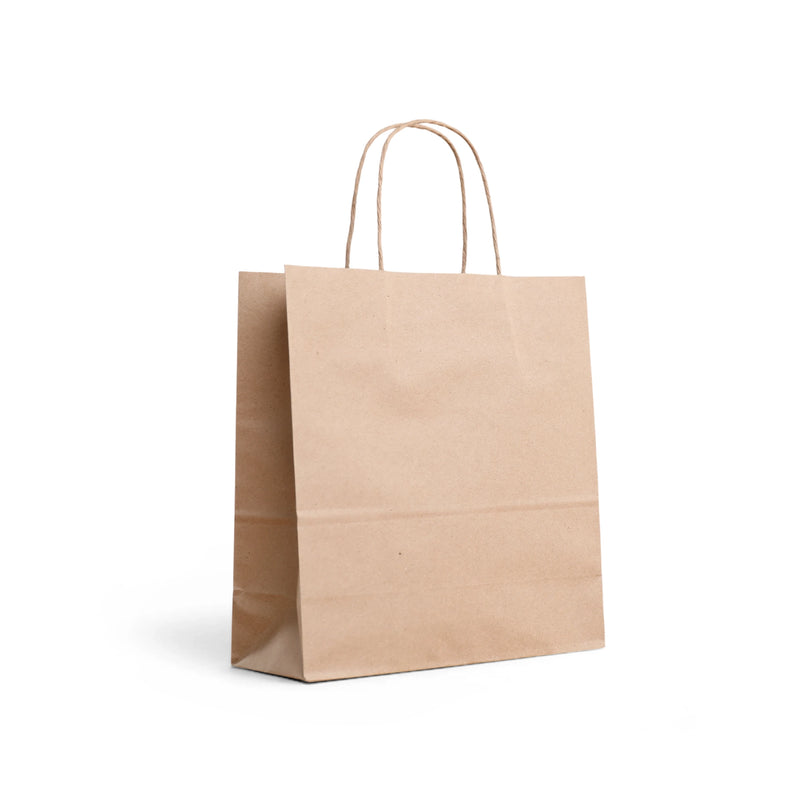 12 pcs Kraft Gift Bags - Large Size 12.5x4.5x10